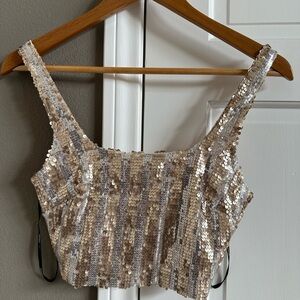 Sequin Striped Crop Top - Silver and Gold